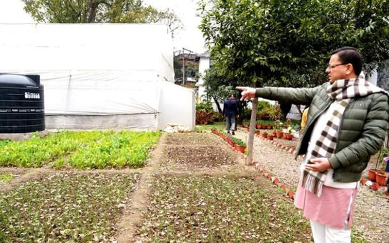 आज मुख्यमंत्री धामी ने पॉली हाउस में उगाई हुई सब्जियों का निरीक्षण किया