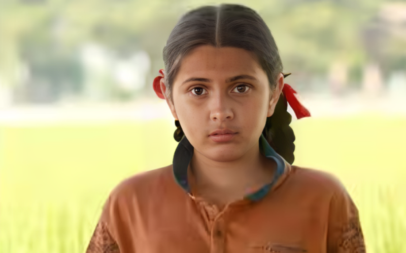 ‘दंगल’ में छोटी बबीता फोगाट का किरदार निभाने वाली अभिनेत्री सुहानी भटनागर का निधन